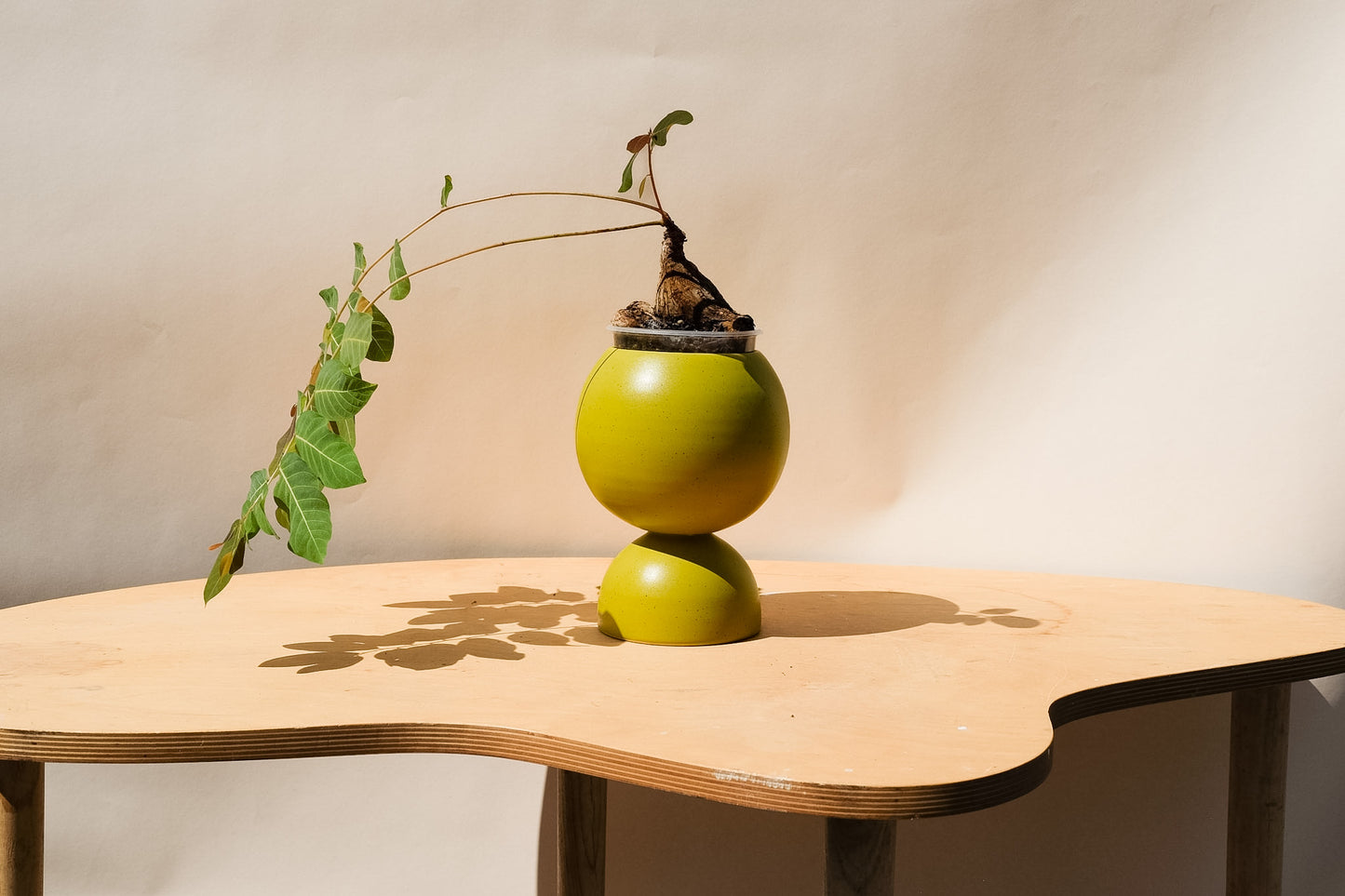 Medium Planter Green 2