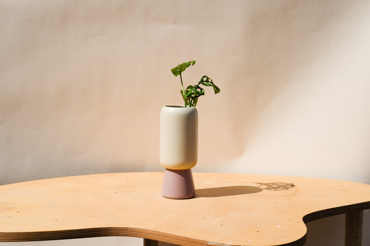 Small Planter Cream and Purple
