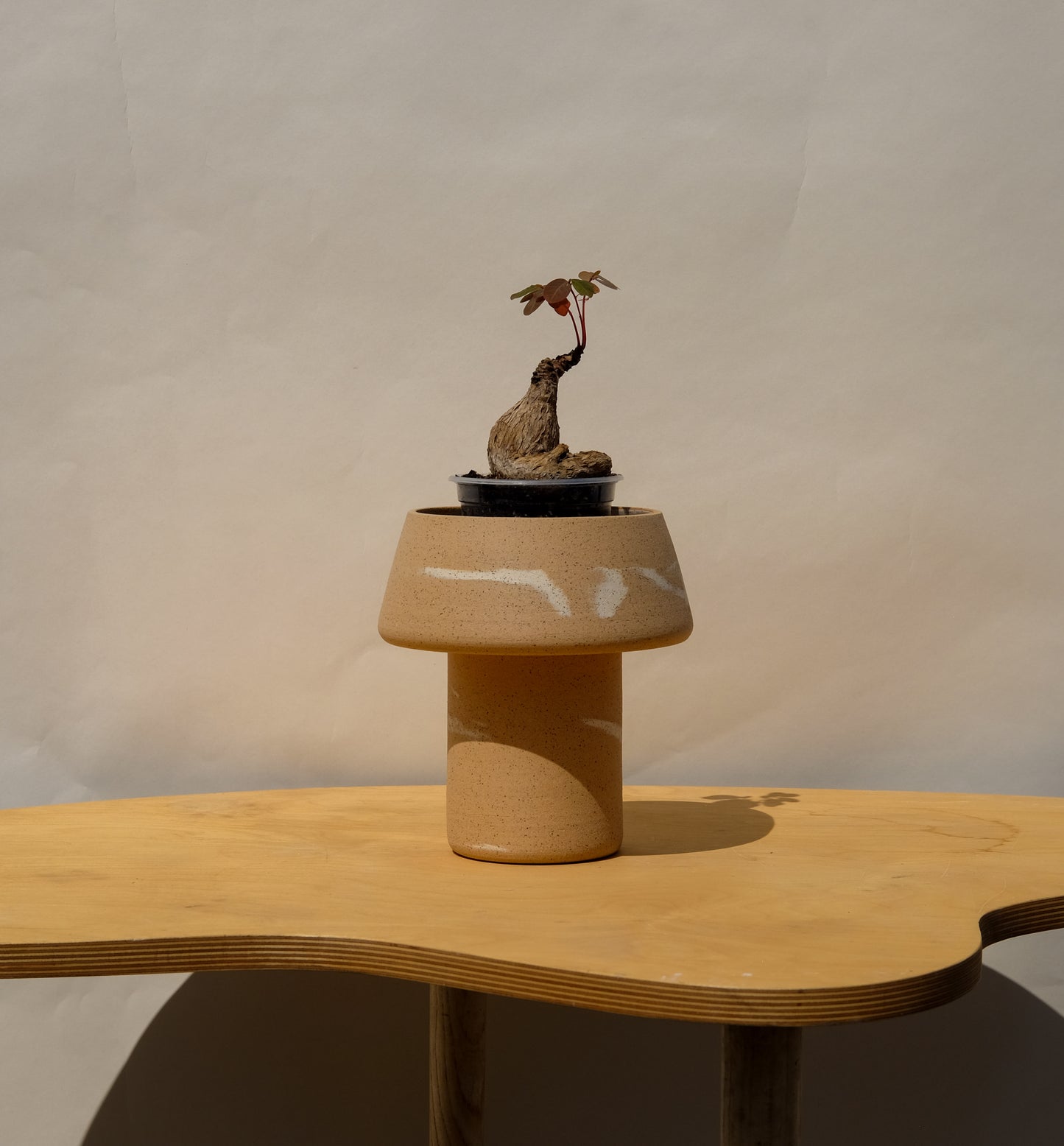 Medium Pedestal Planter Desert Splash