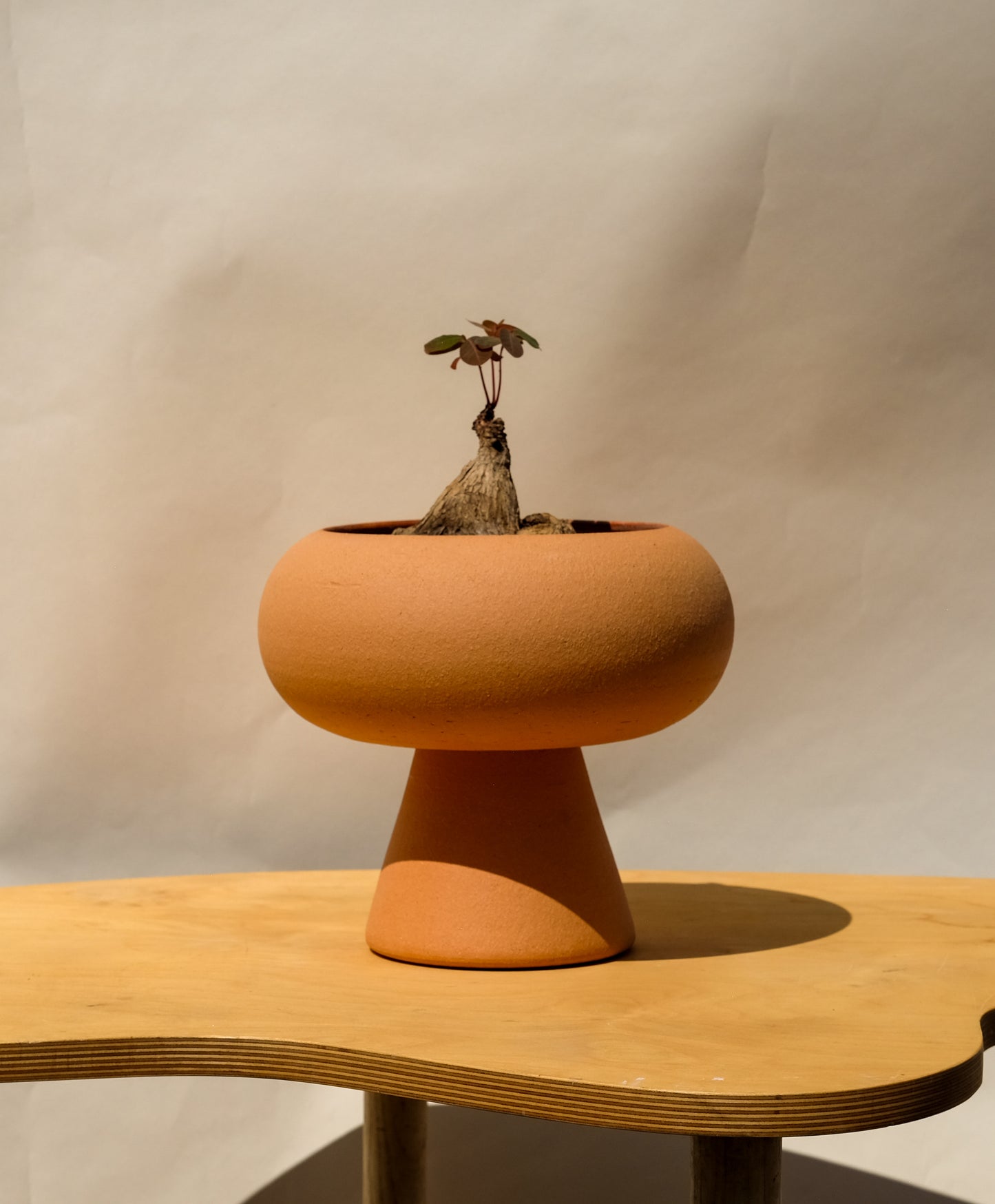 Large Pedestal Planter Red Hills