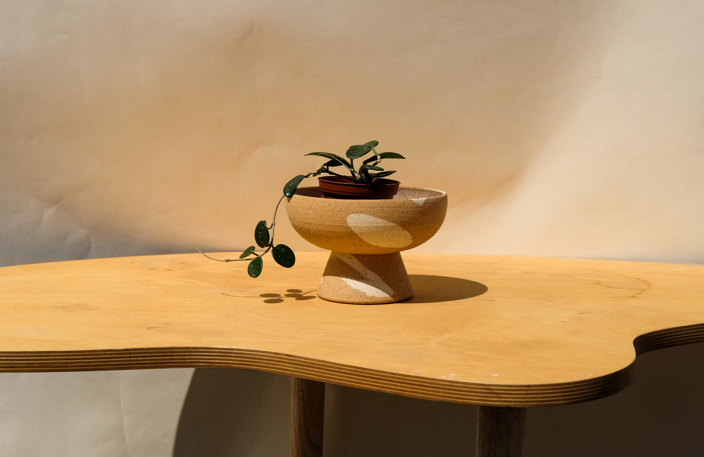 Small Pedestal Planter Desert Splash