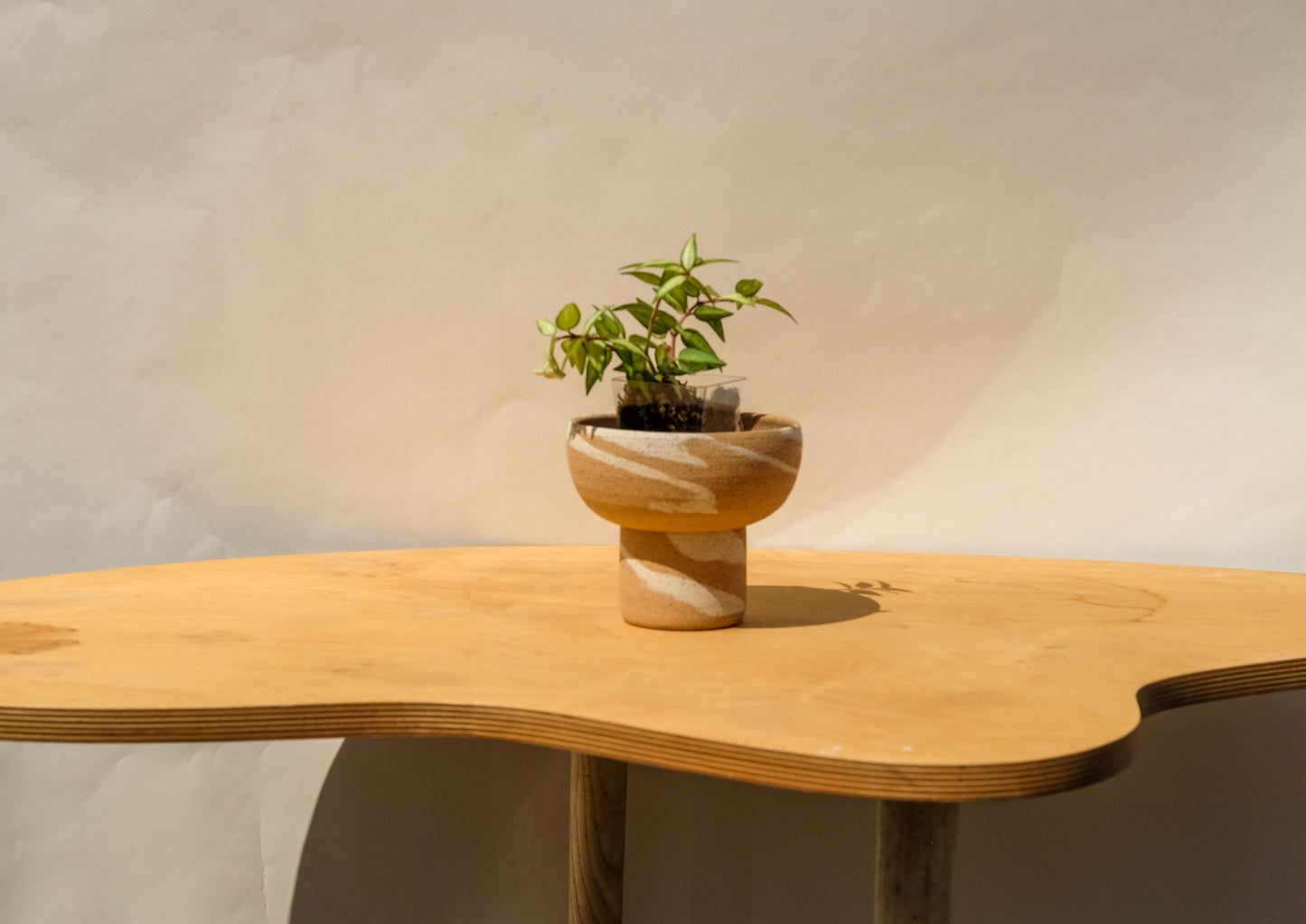 Small Pedestal Planter Desert Splash