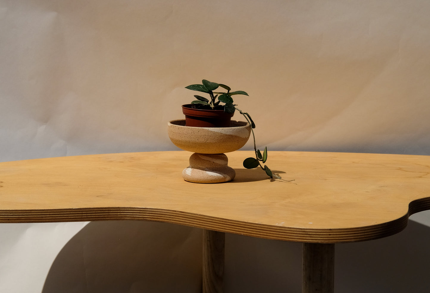 Ex Small Pedestal Planter Desert Splash