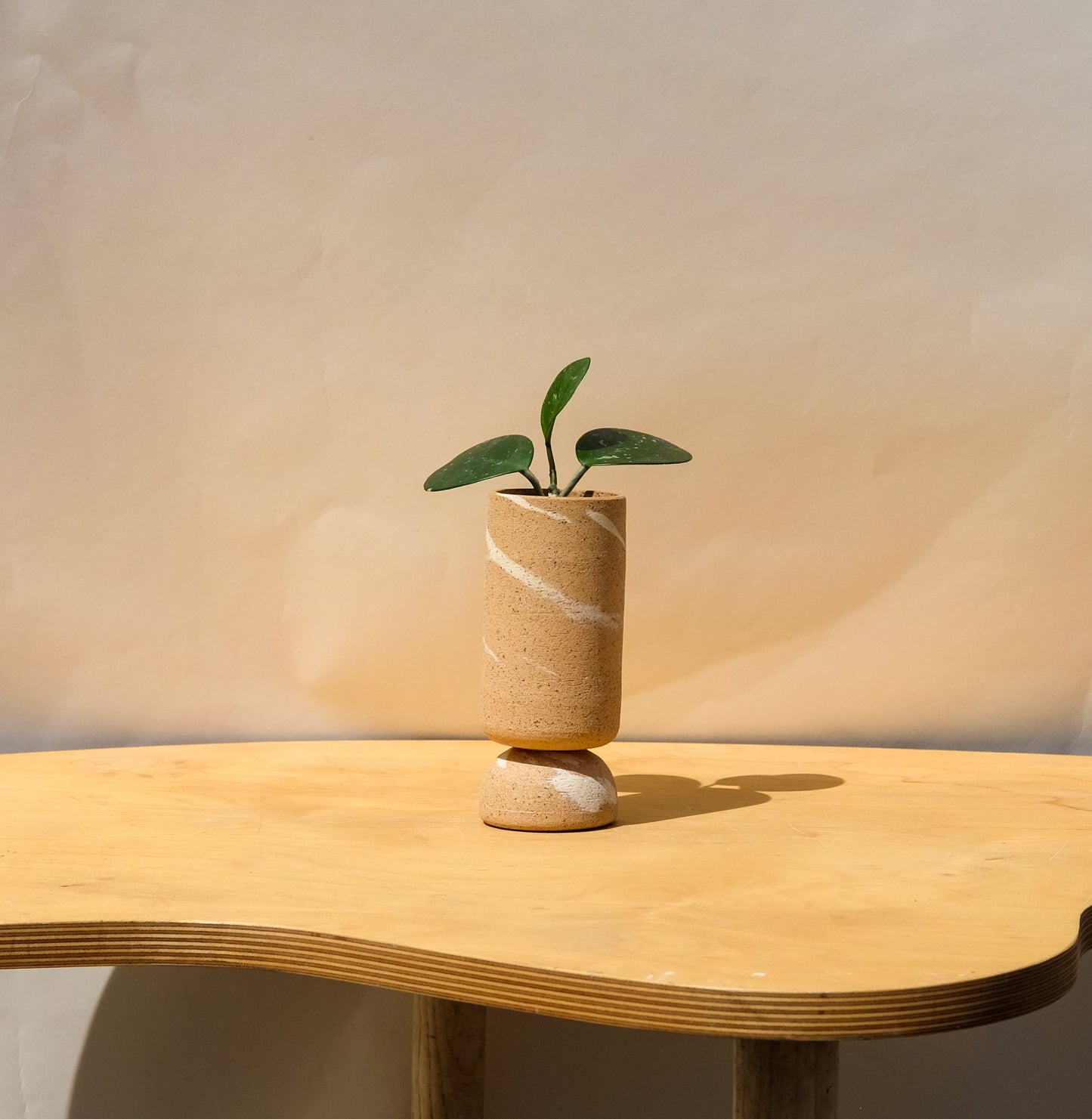 Ex Small Pedestal Planter Desert Splash