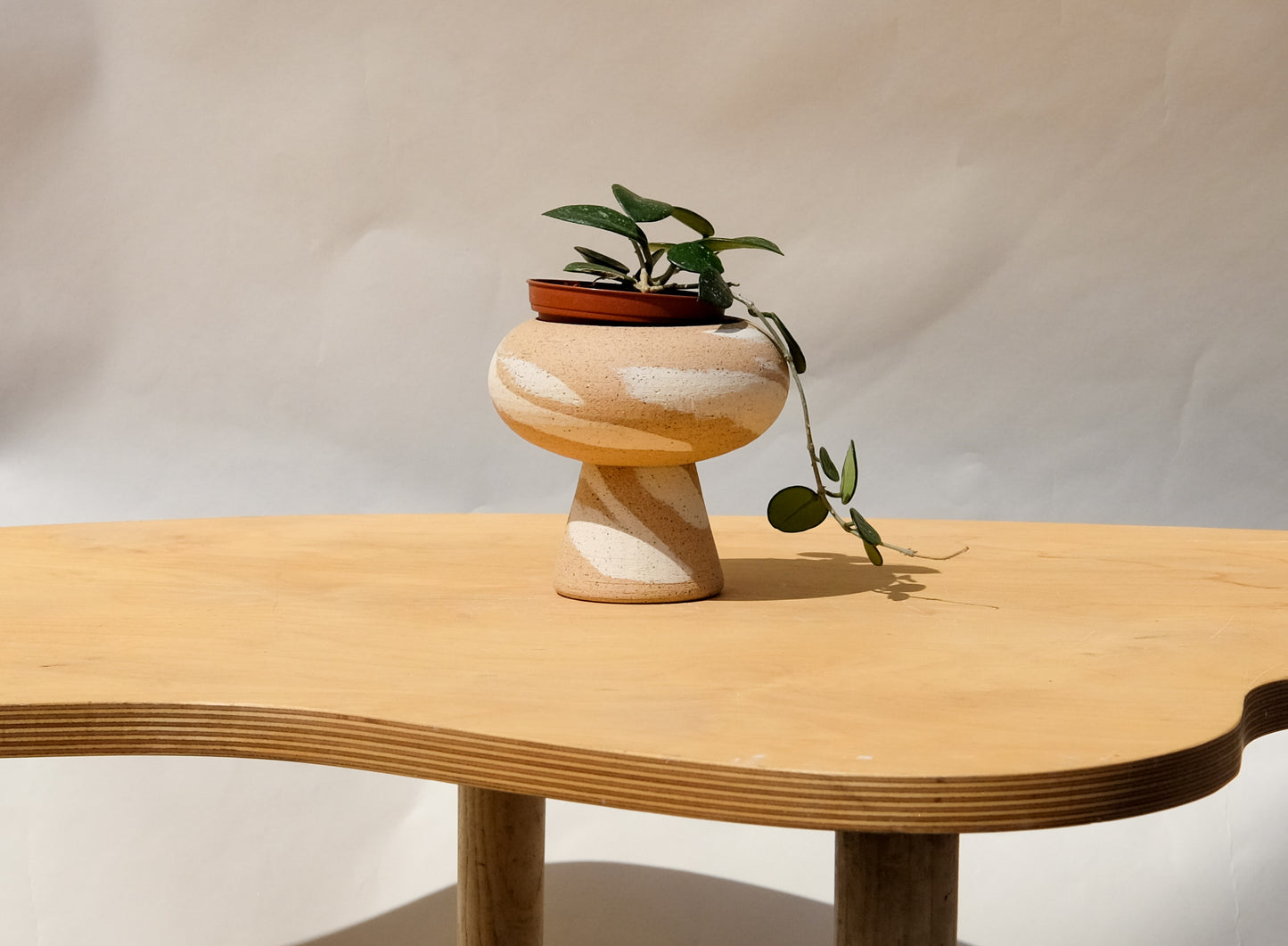 Ex Small Pedestal Planter Desert Splash