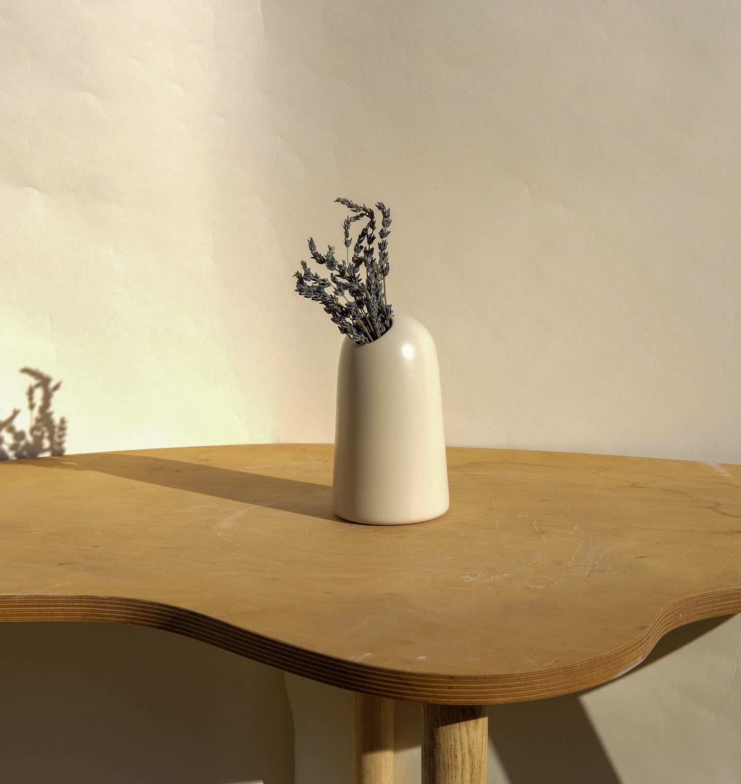 Vase Bone