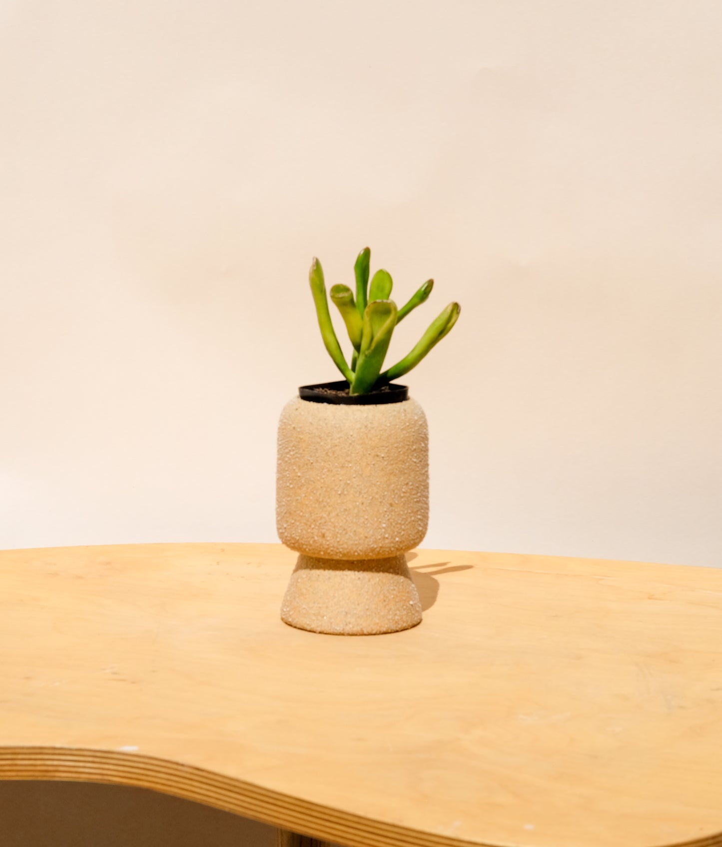 Small Pedestal Planter Desert Sands 4