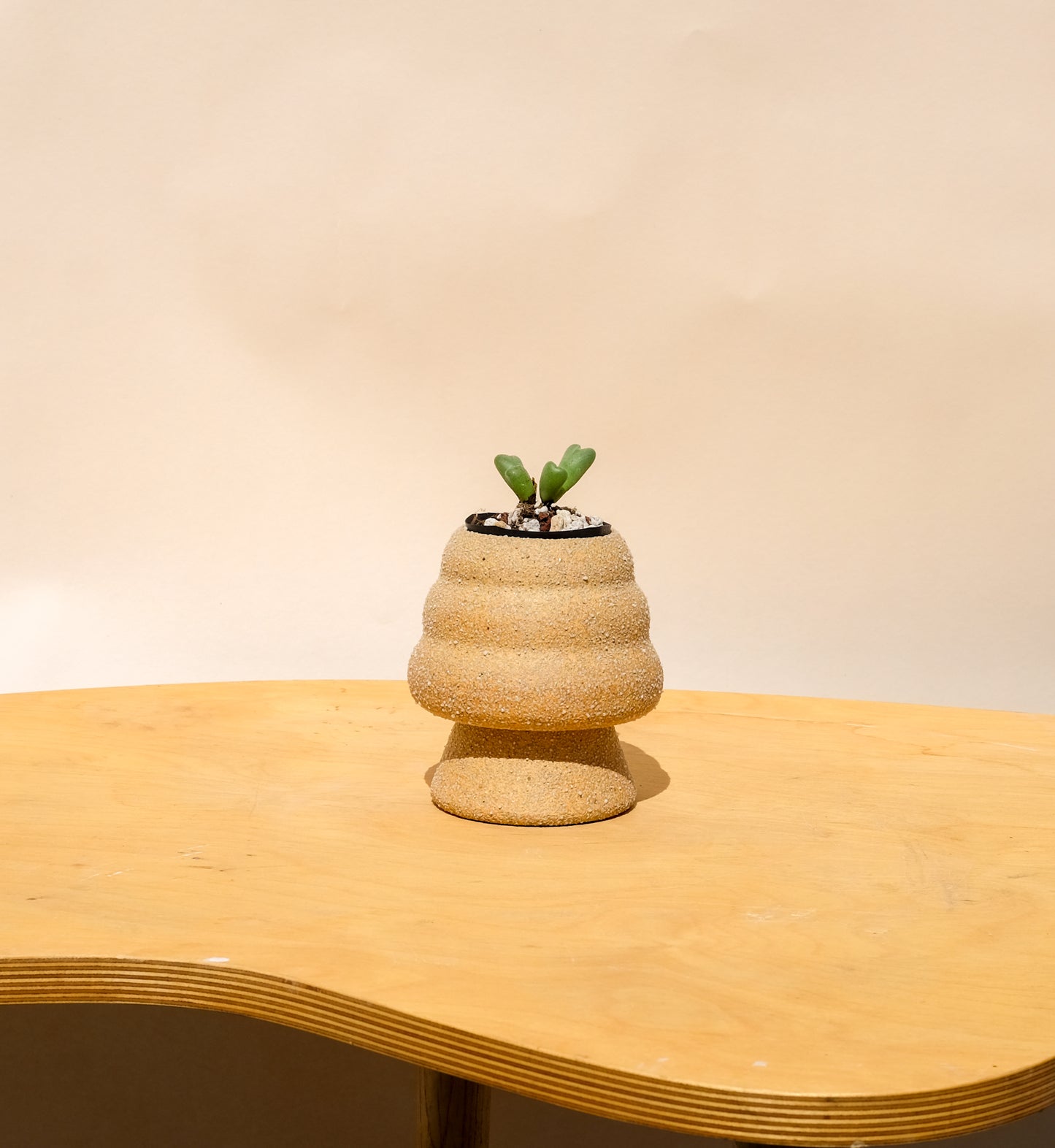 Small Pedestal Planter Desert Sands 5