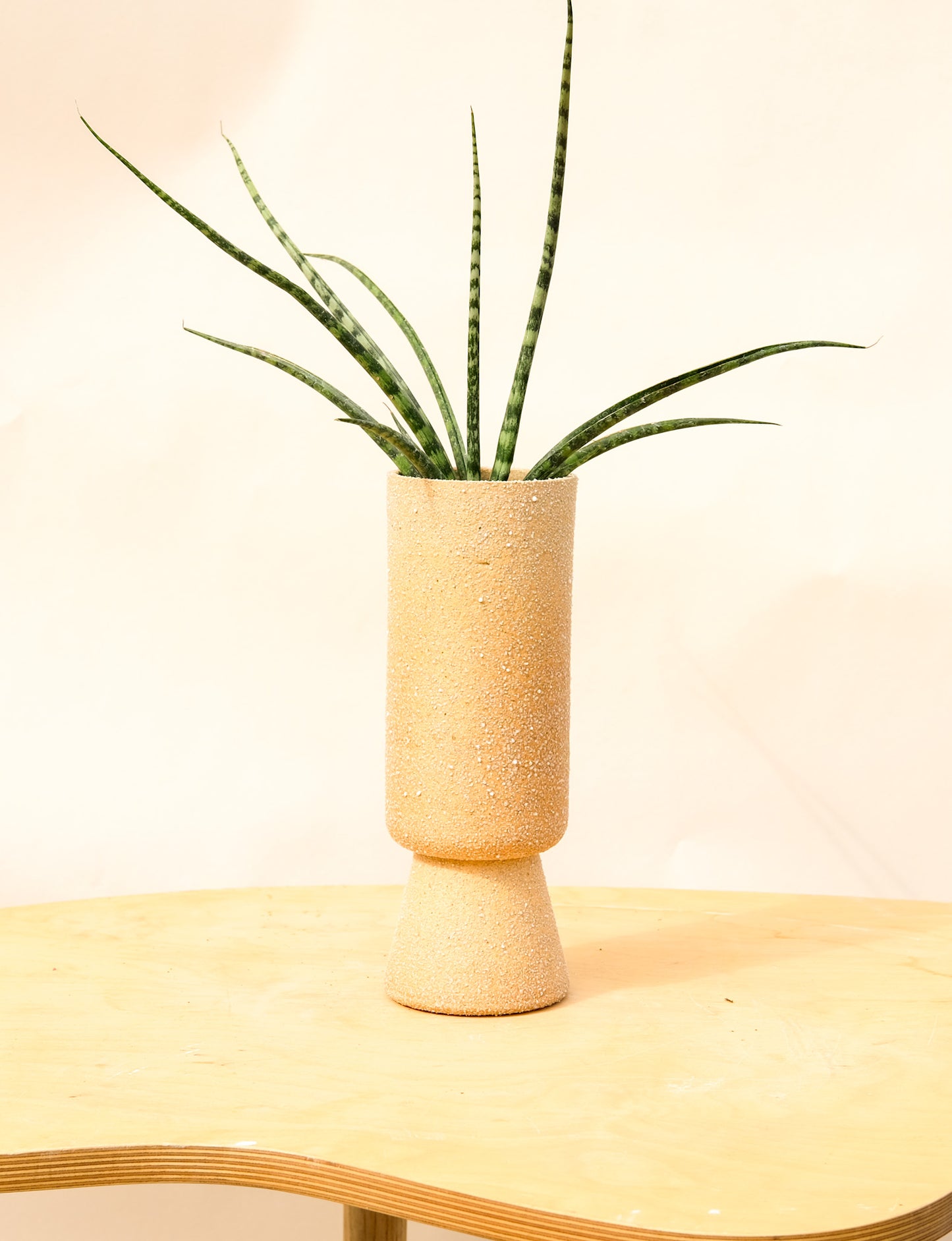 Medium Pedestal Planter Desert Sands 19
