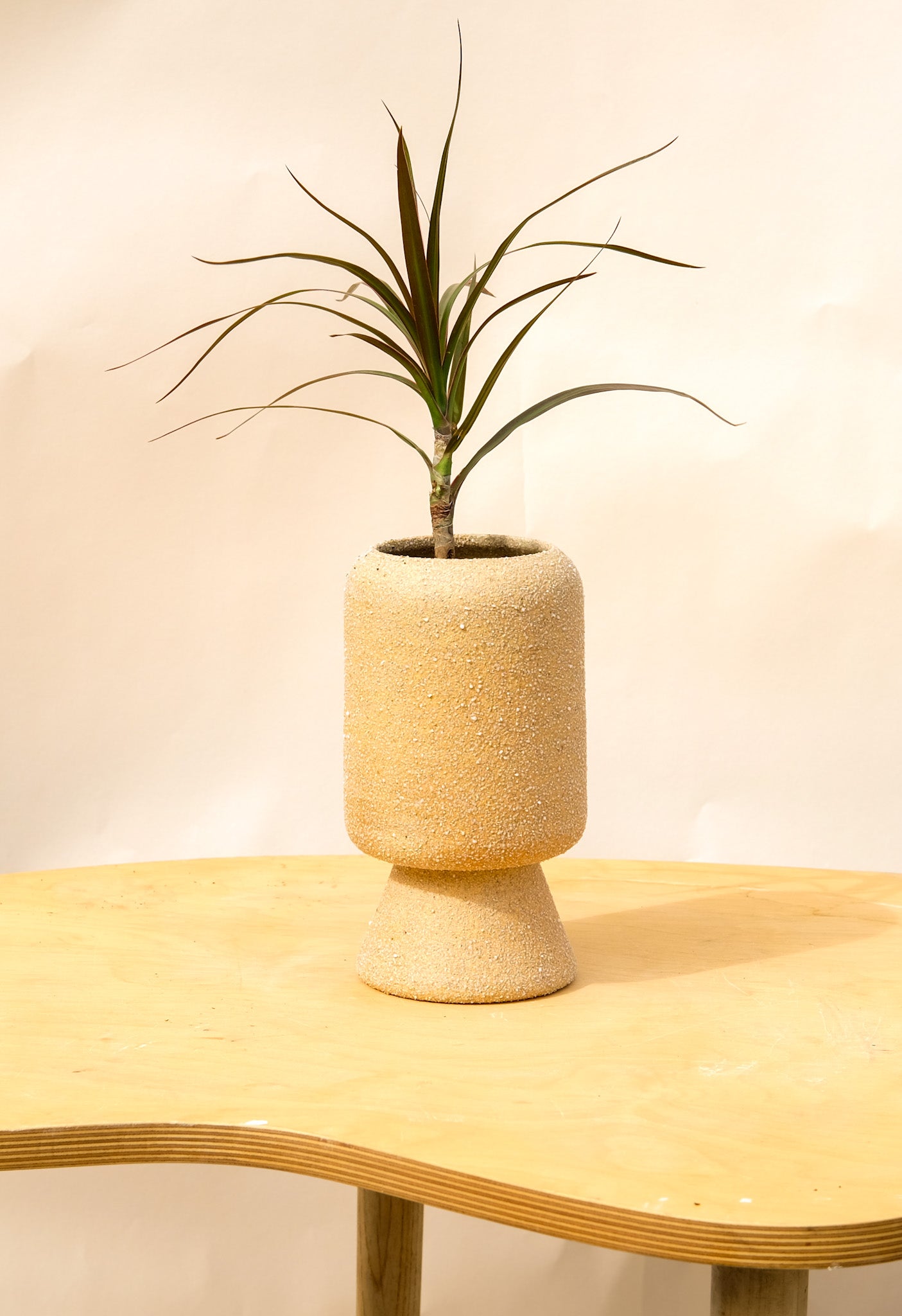 Medium Pedestal Planter Desert Sands 20
