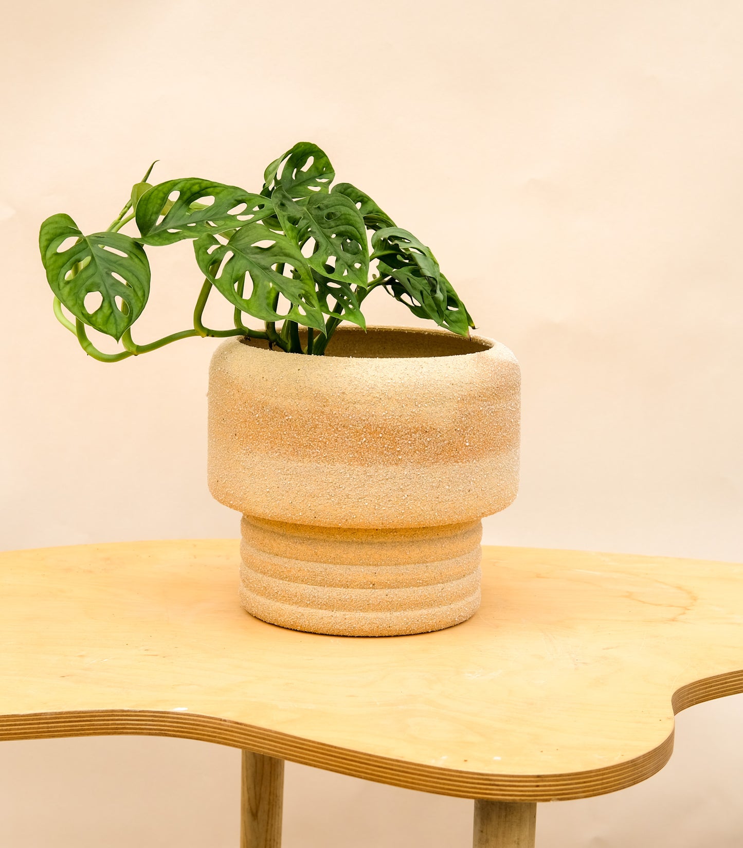 Large Pedestal Planter Desert Sands 1