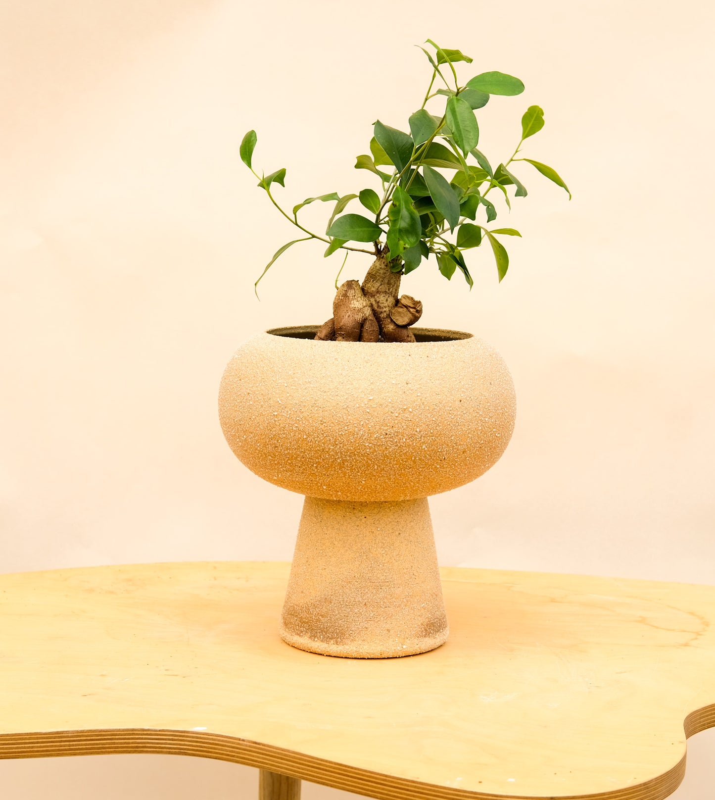 Large Pedestal Planter Desert Sands 2