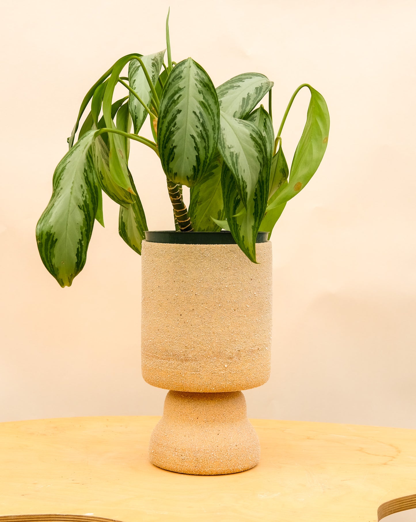 Large Pedestal Planter Desert Sands 6