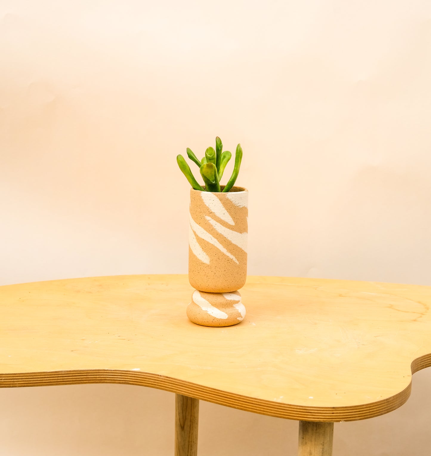 Small Pedestal Planter Desert Splash 7