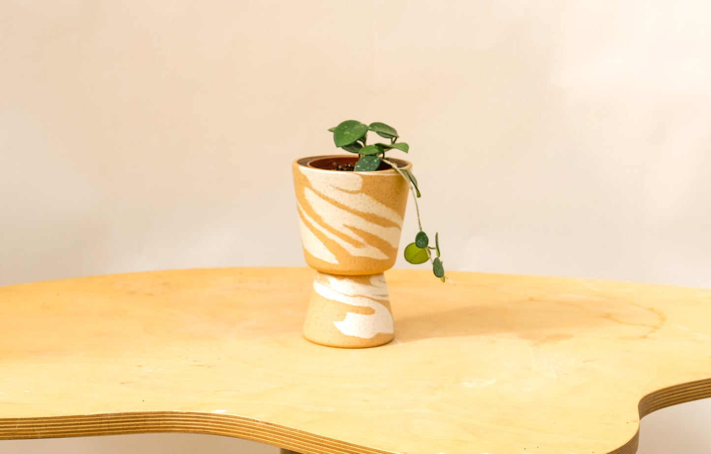 Small Pedestal Planter Desert Splash 19