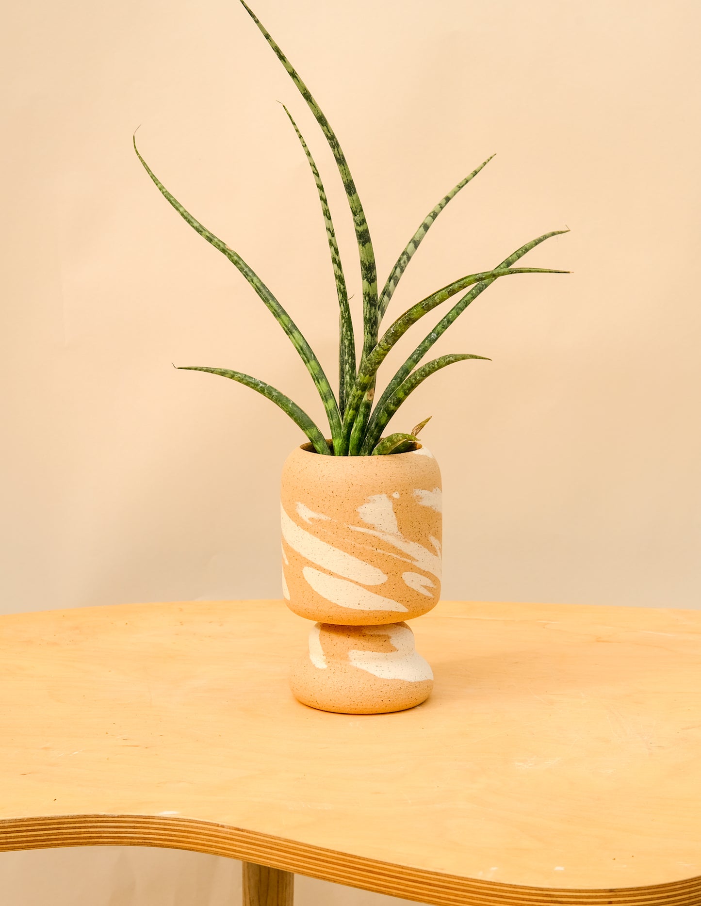Small Pedestal Planter Desert Splash 21