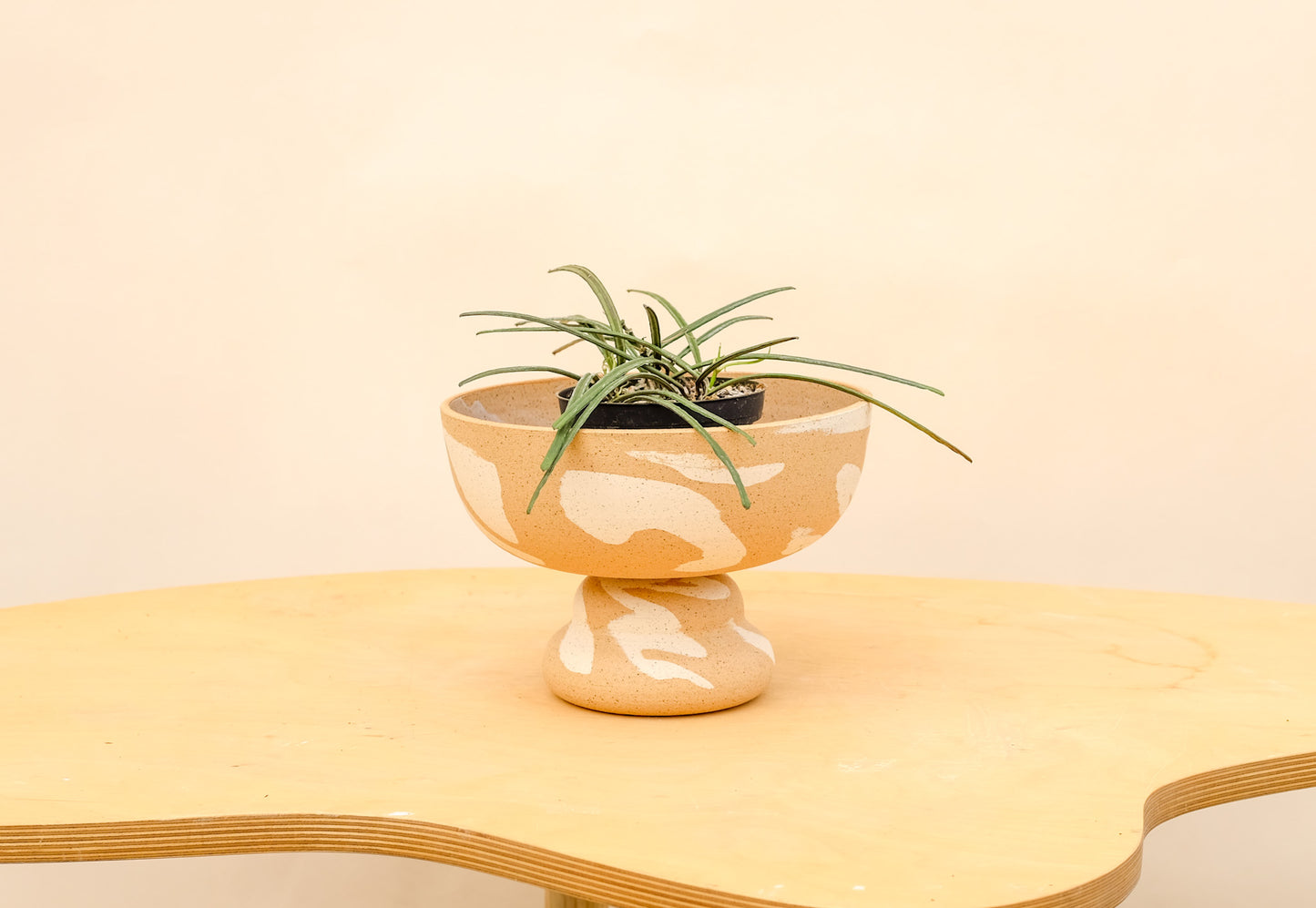 Medium Pedestal Planter Desert Splash 2