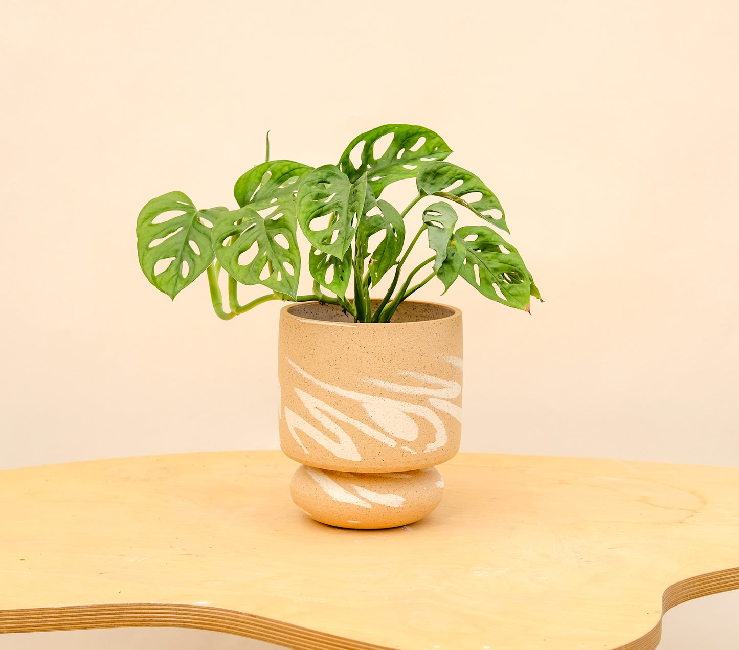Medium Pedestal Planter Desert Splash 3