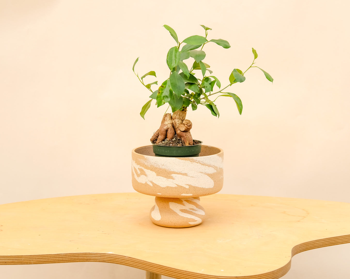 Medium Pedestal Planter Desert Splash 4