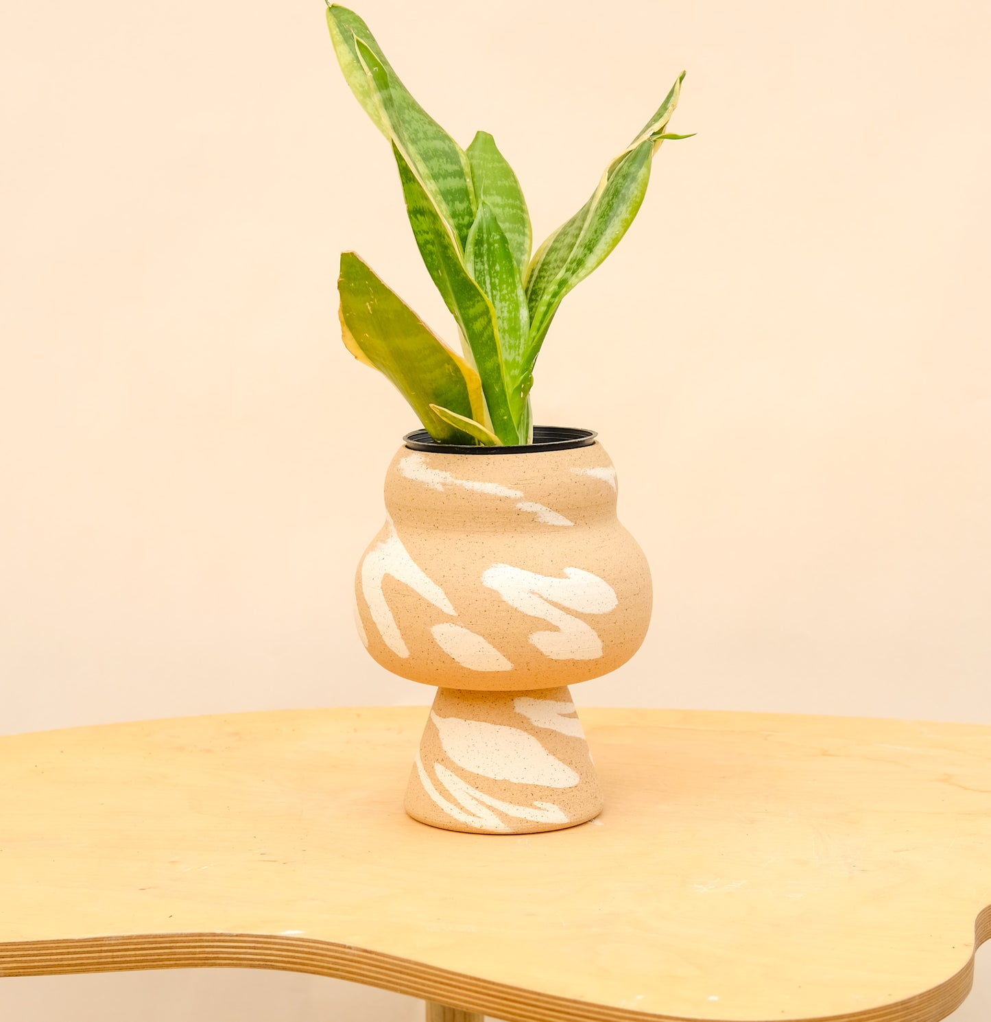 Medium Pedestal Planter Desert Splash 5