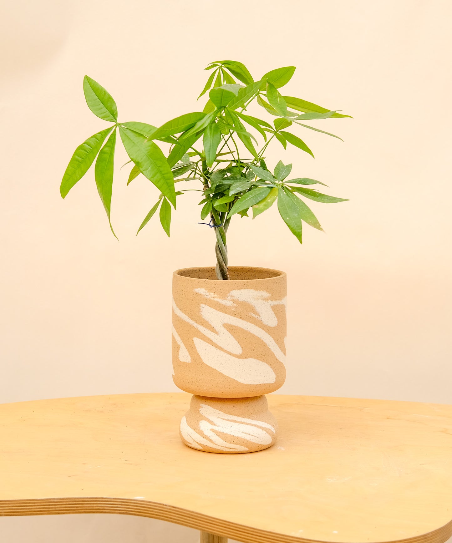 Medium Pedestal Planter Desert Splash 8