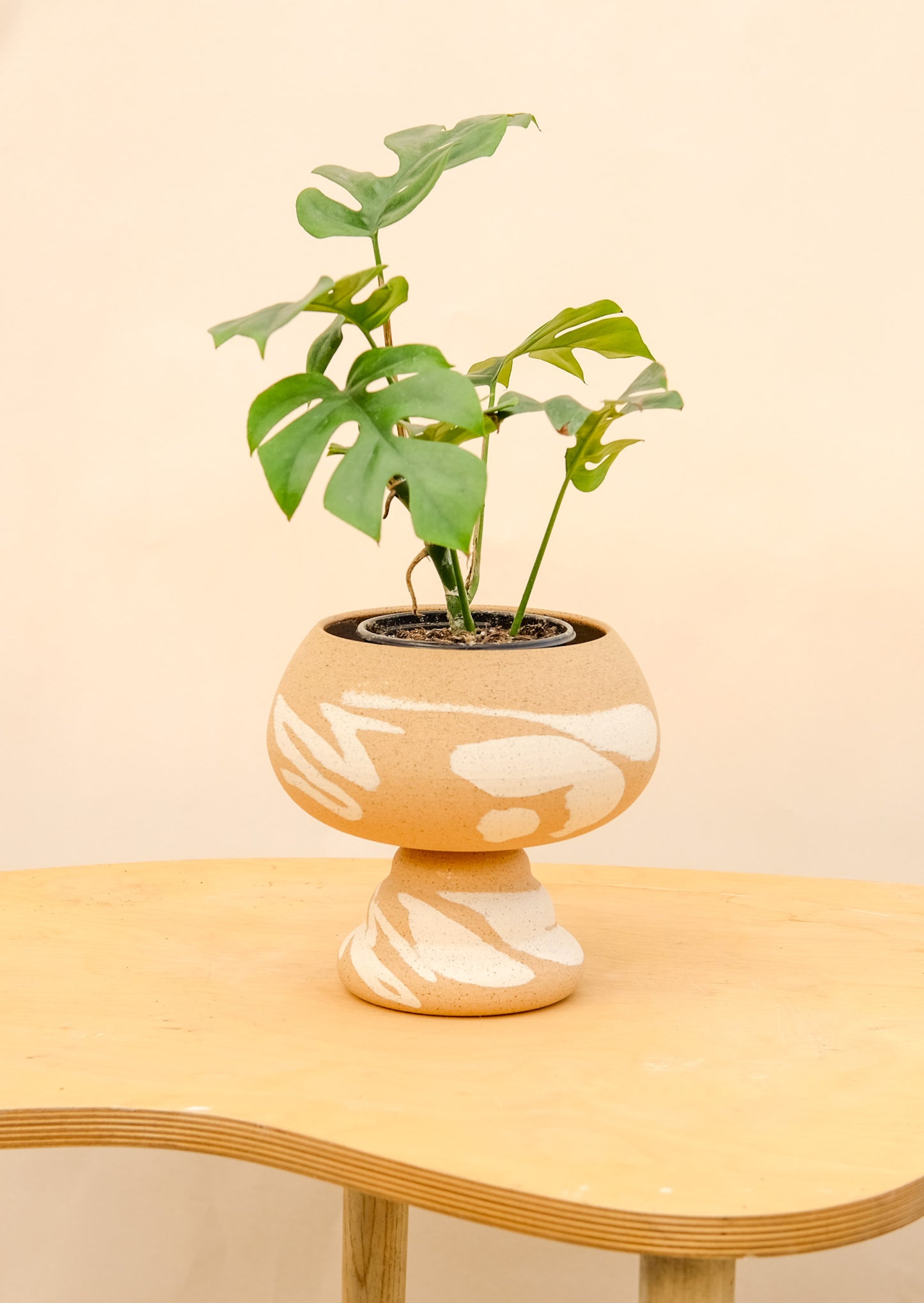 Medium Pedestal Planter Desert Splash 9