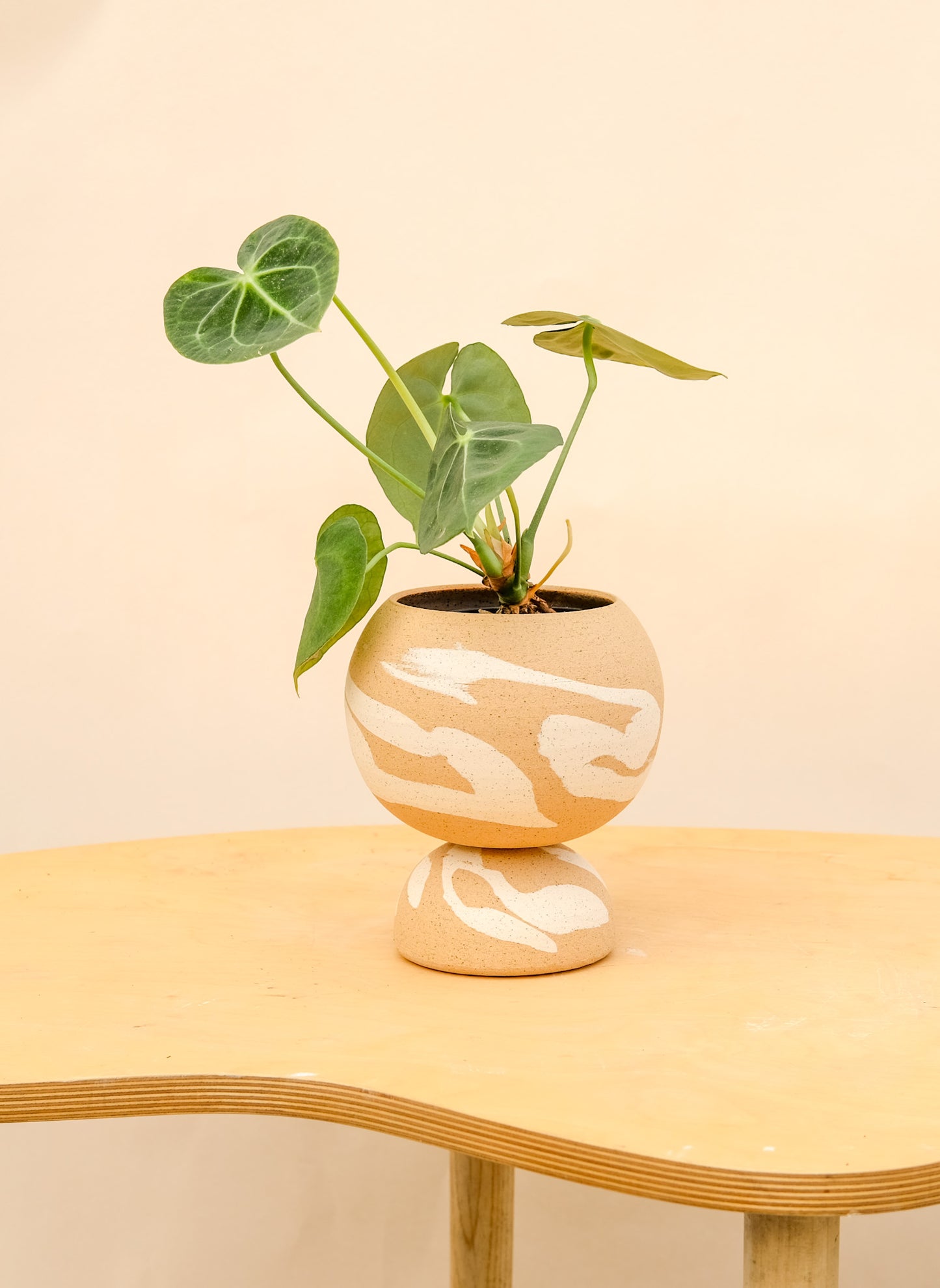 Medium Pedestal Planter Desert Splash 10