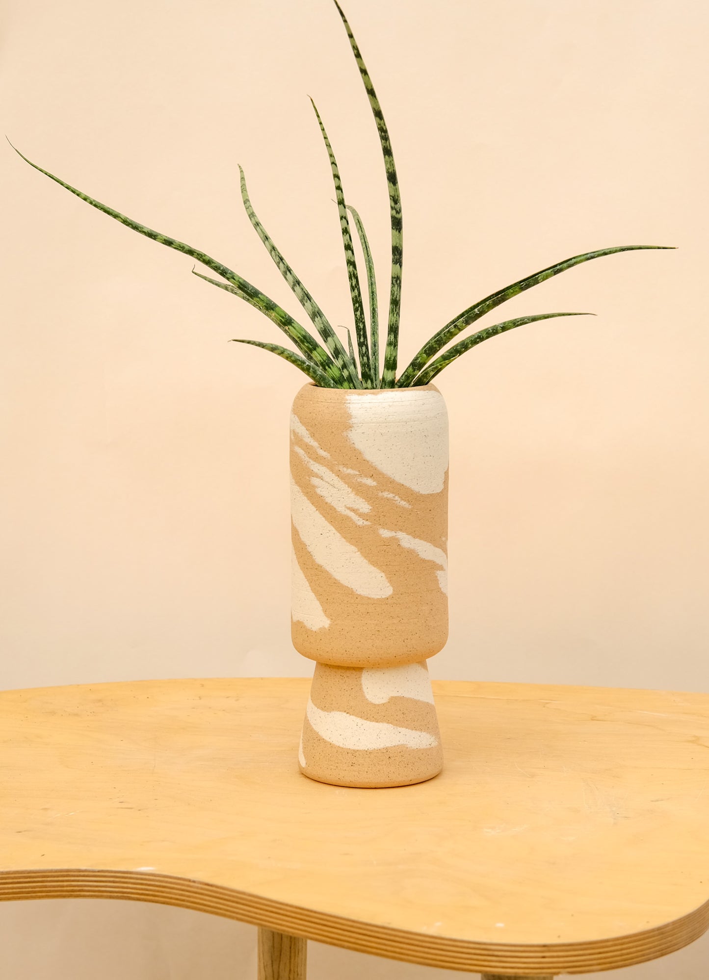 Medium Pedestal Planter Desert Splash 11