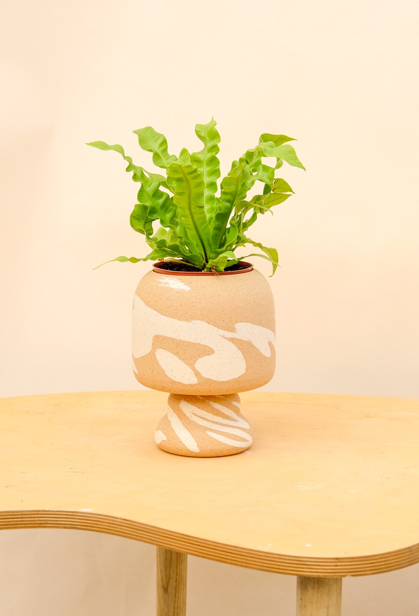 Medium Pedestal Planter Desert Splash 12