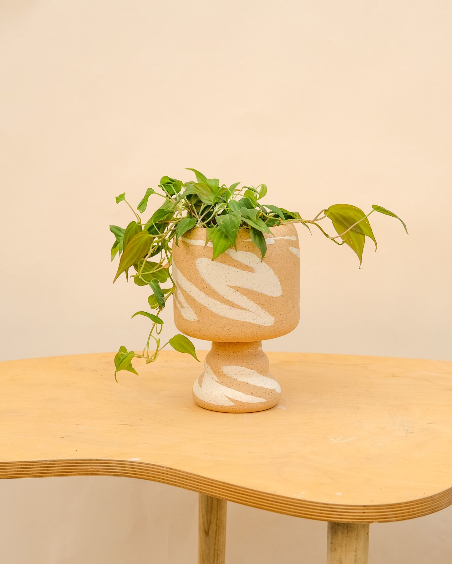 Medium Pedestal Planter Desert Splash 16