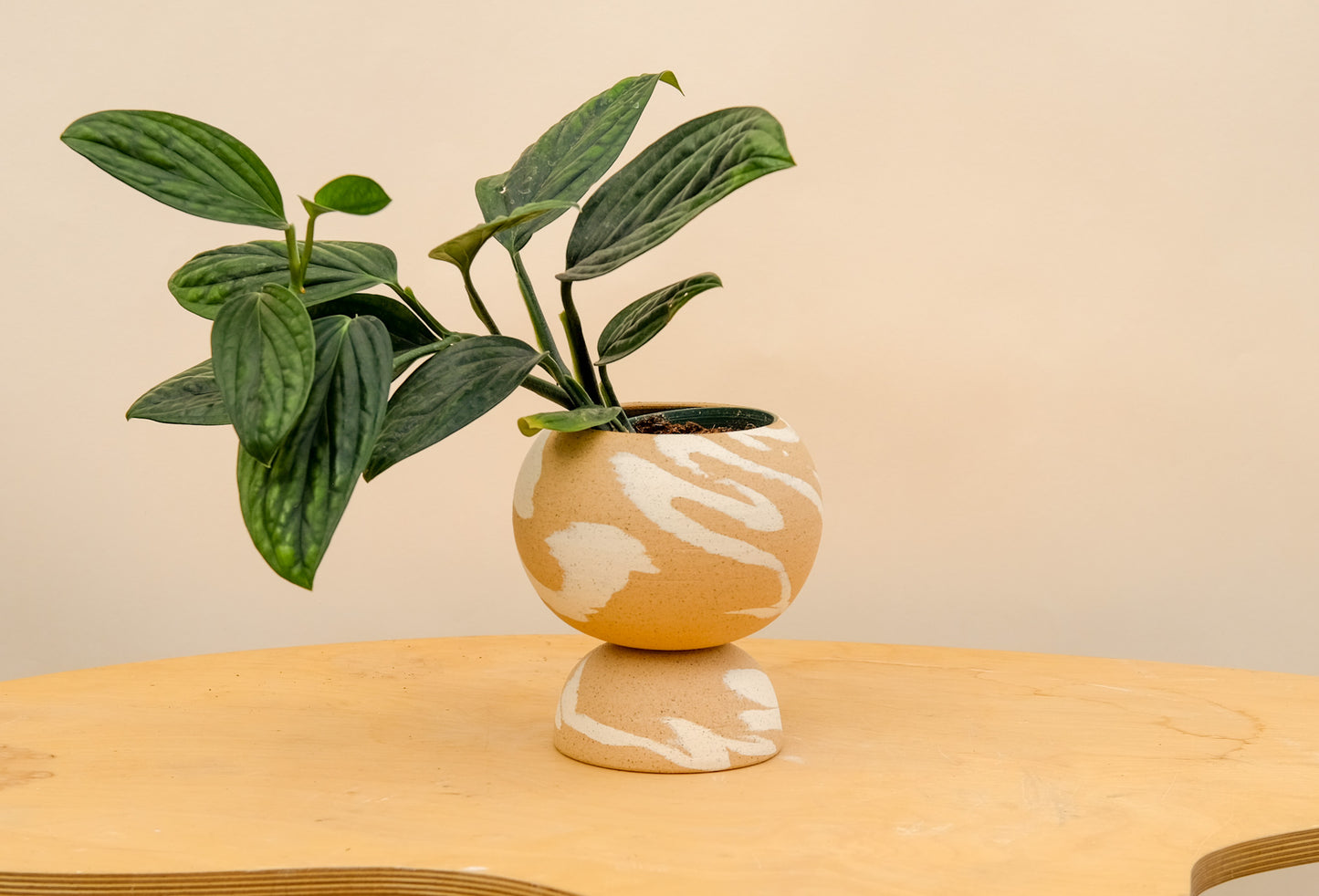 Medium Pedestal Planter Desert Splash 13