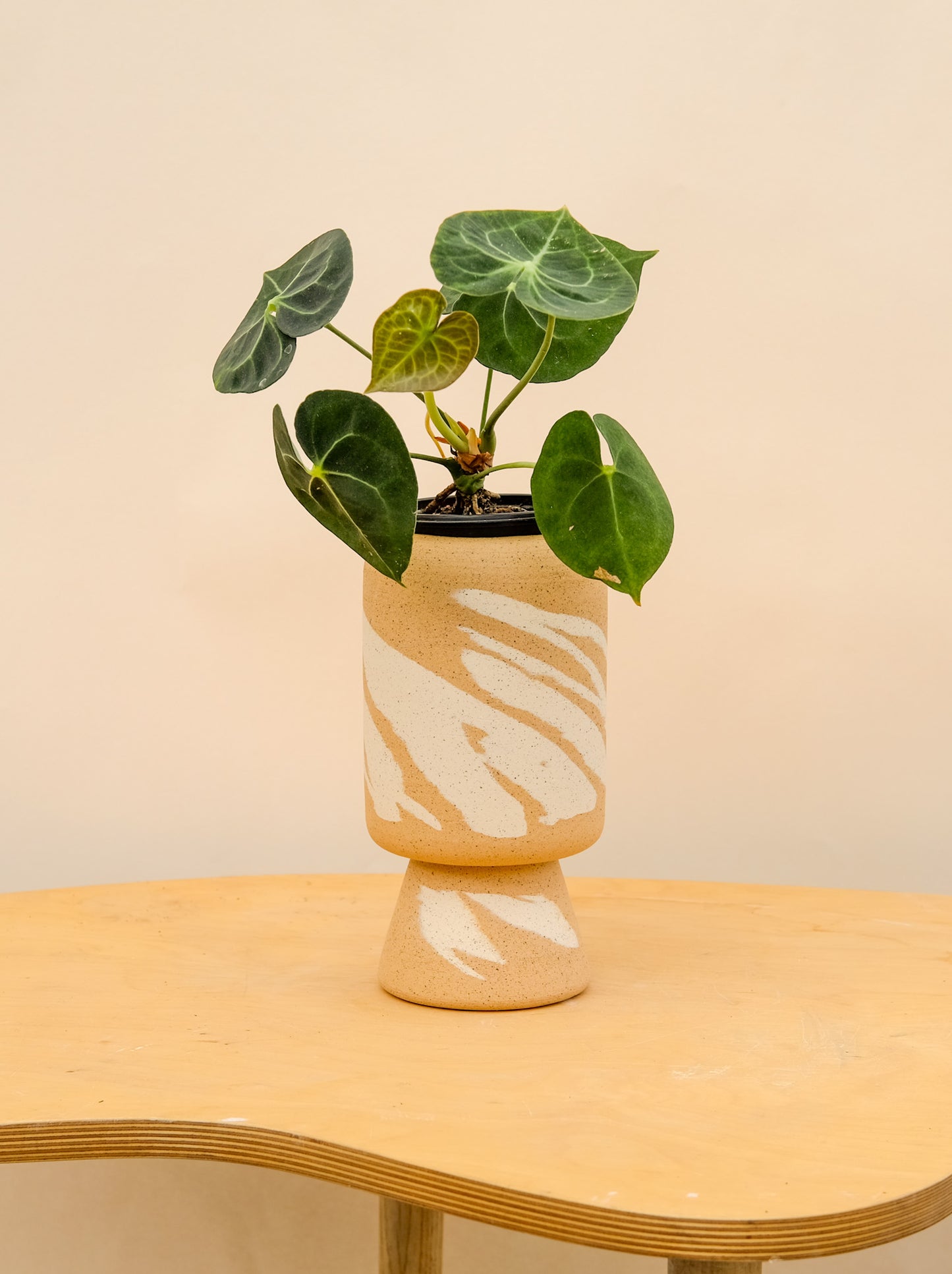 Medium Pedestal Planter Desert Splash 29