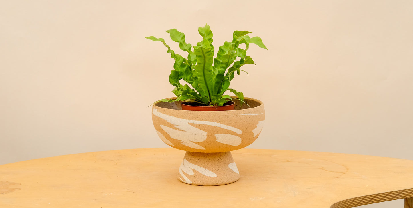 Medium Pedestal Planter Desert Splash 30