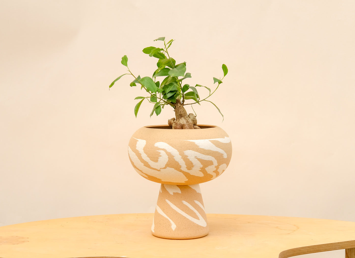 Large Pedestal Planter Desert Splash 4