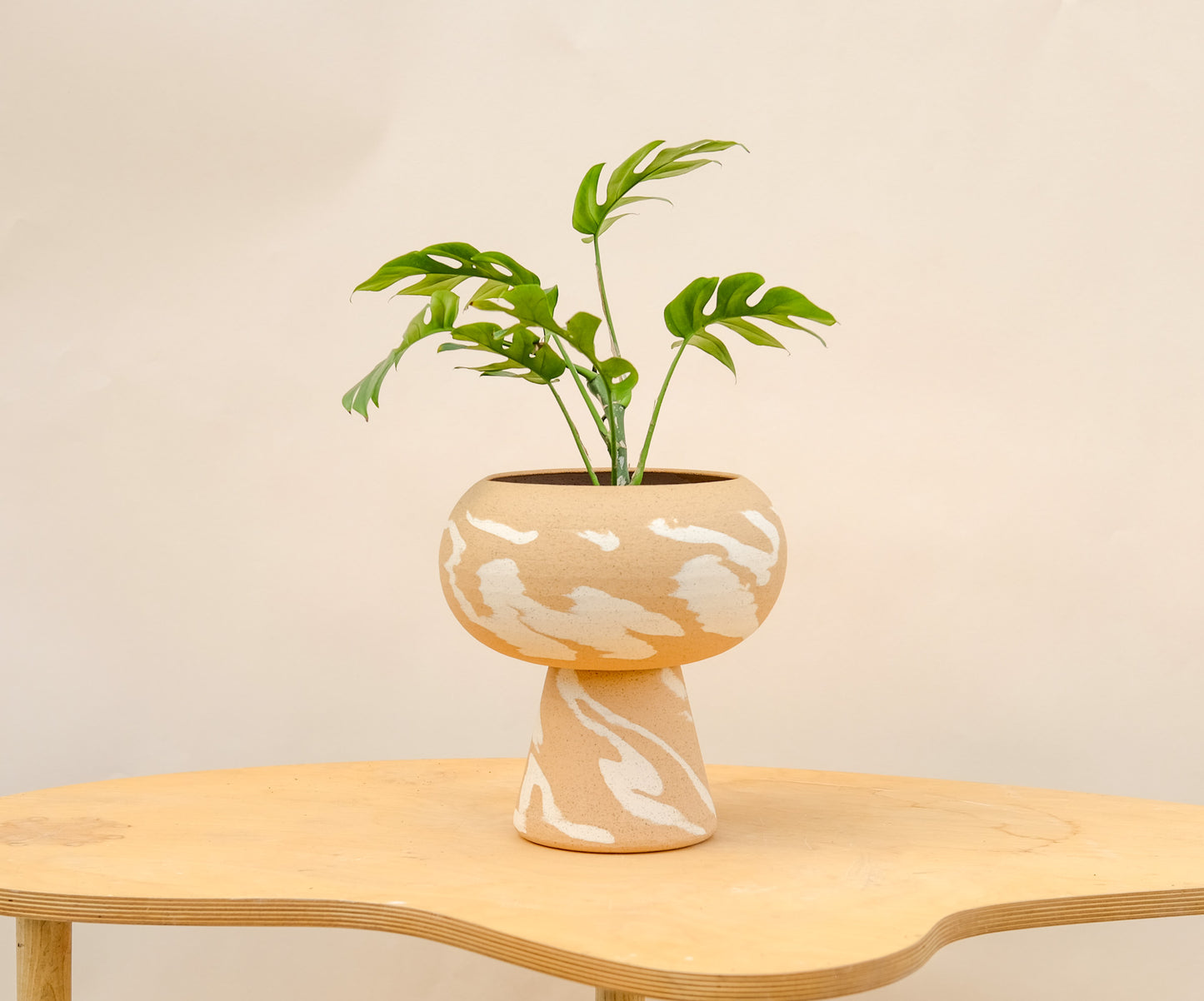Large Pedestal Planter Desert Splash 8