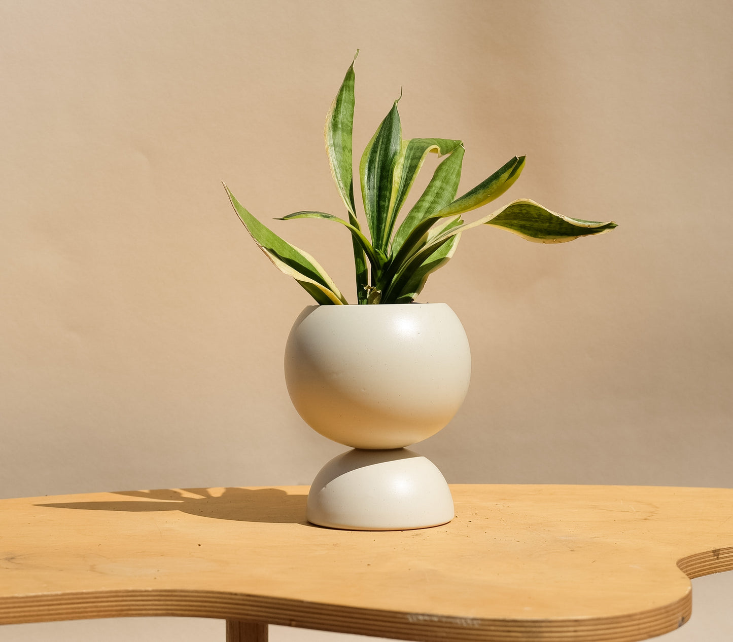 Cream Medium Planter 2