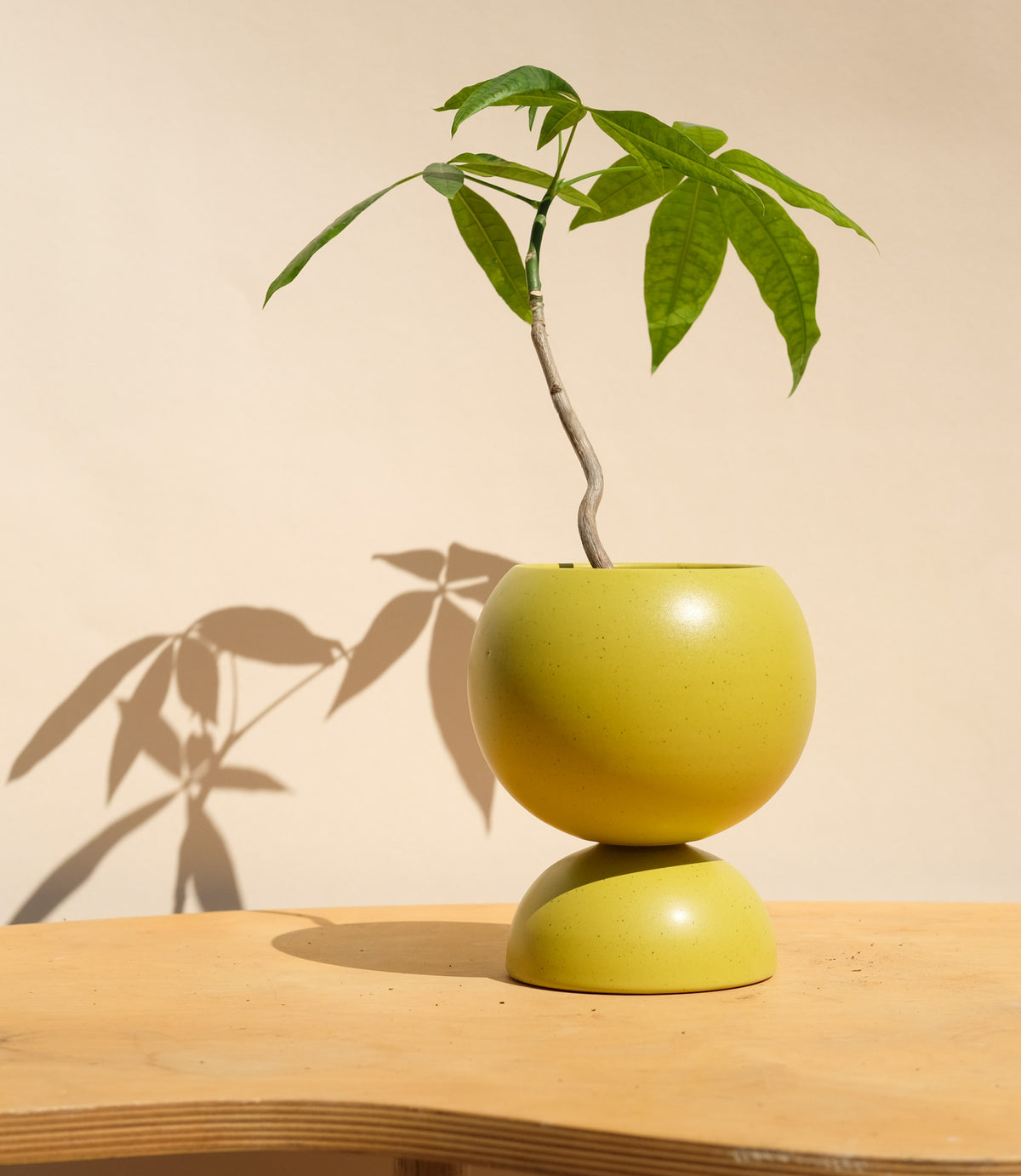 Spring Green Medium Planter 4