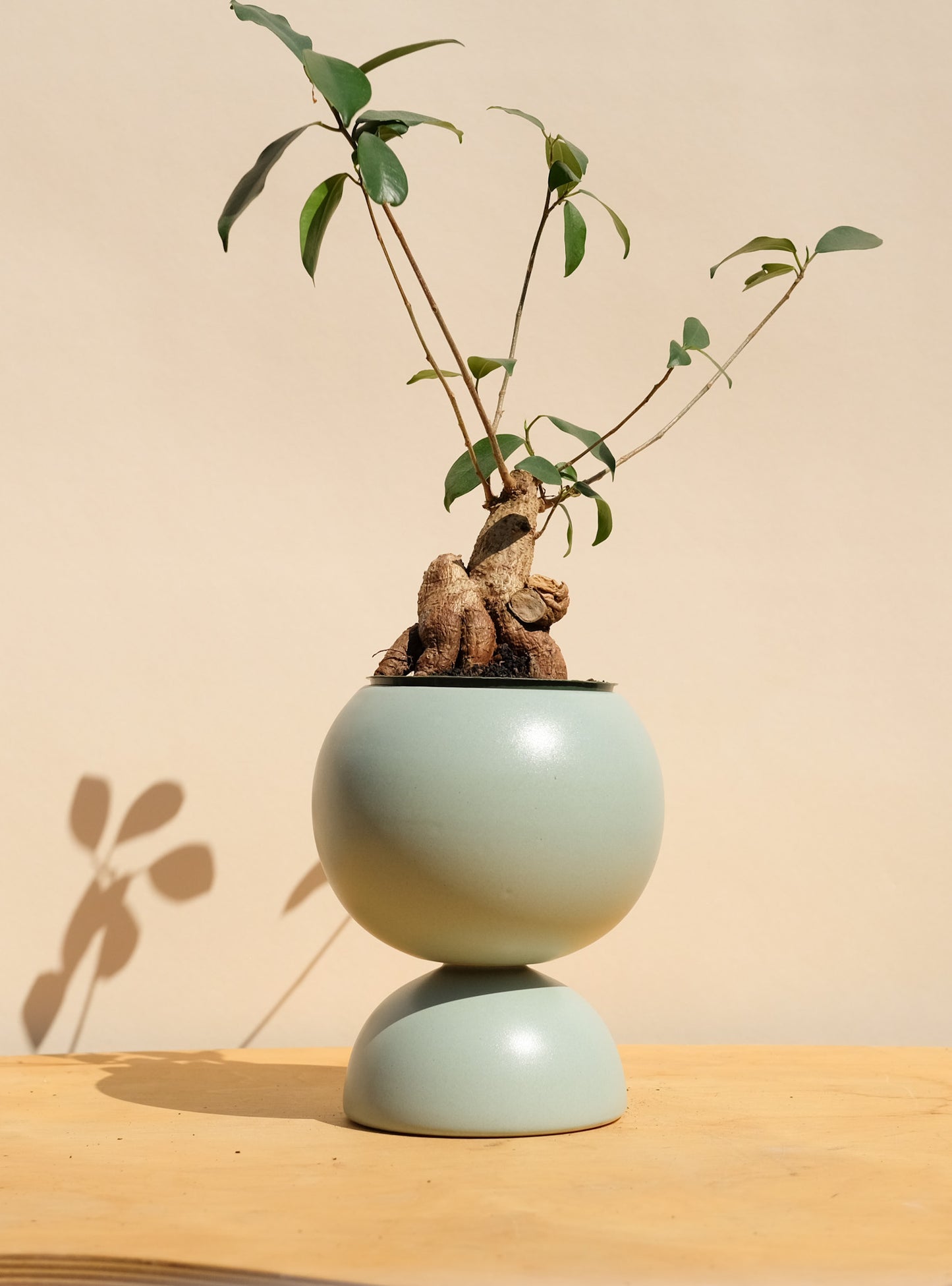 Blue Medium Planter 1