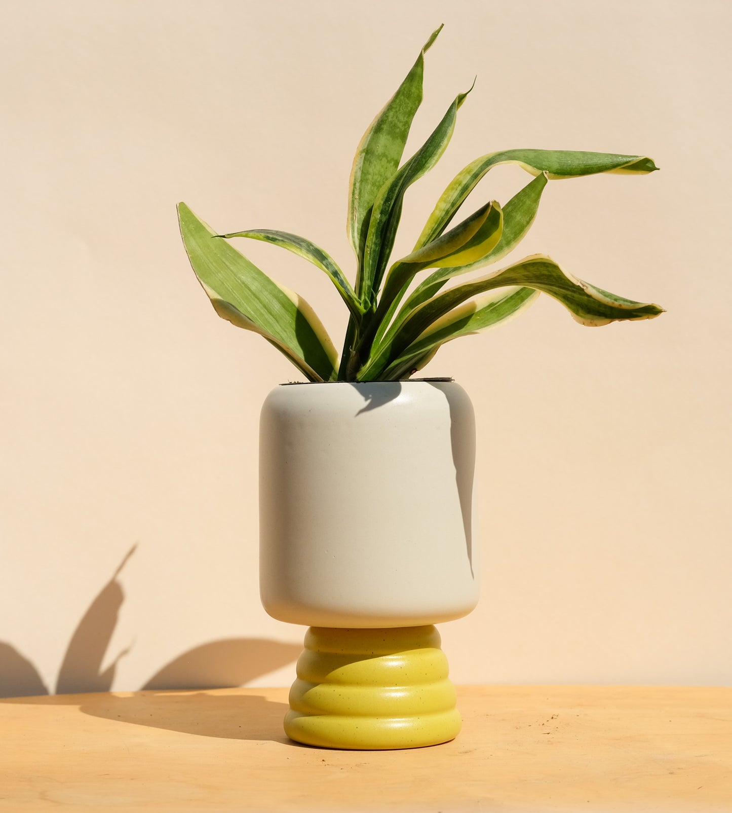 Cream and Spring Green Medium Planter