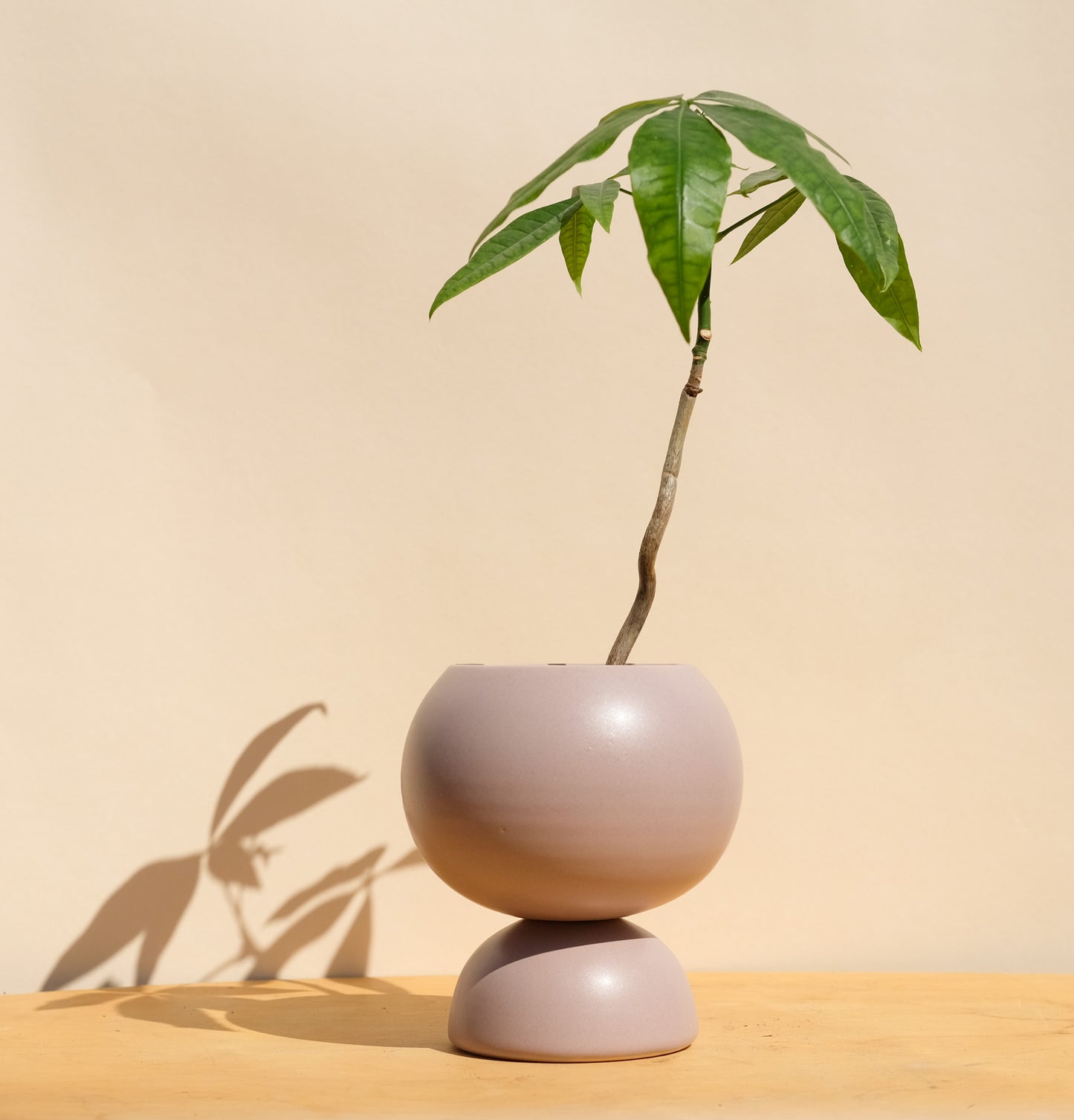 Purple Medium Planter
