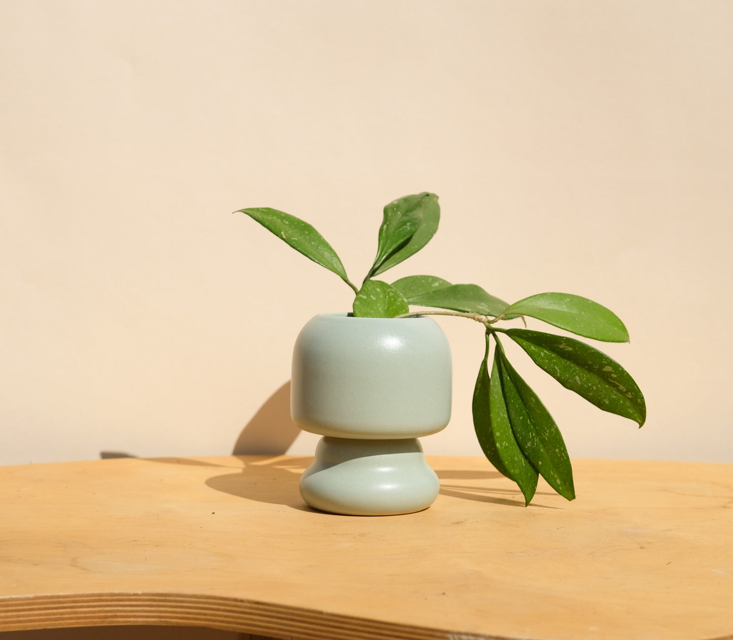 Blue Small Planter 2