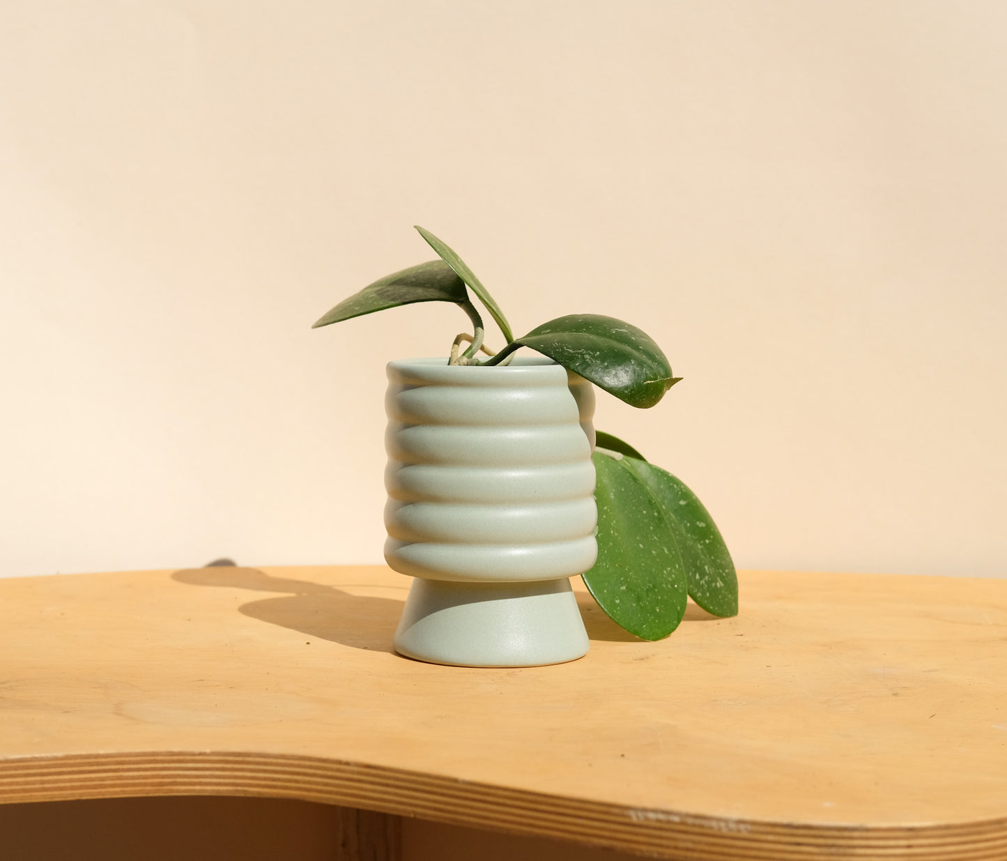 Blue Small Planter 3