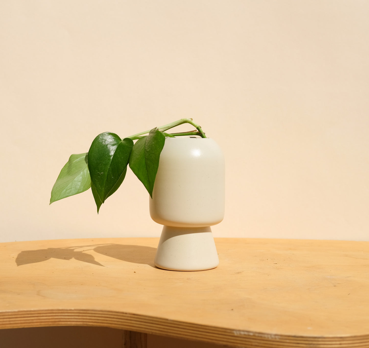 Cream Small Planter 2