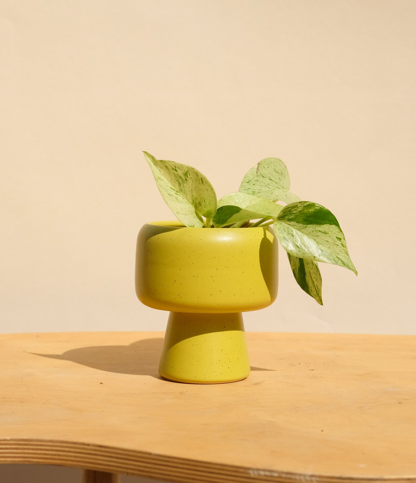 Spring Green Small Planter 2