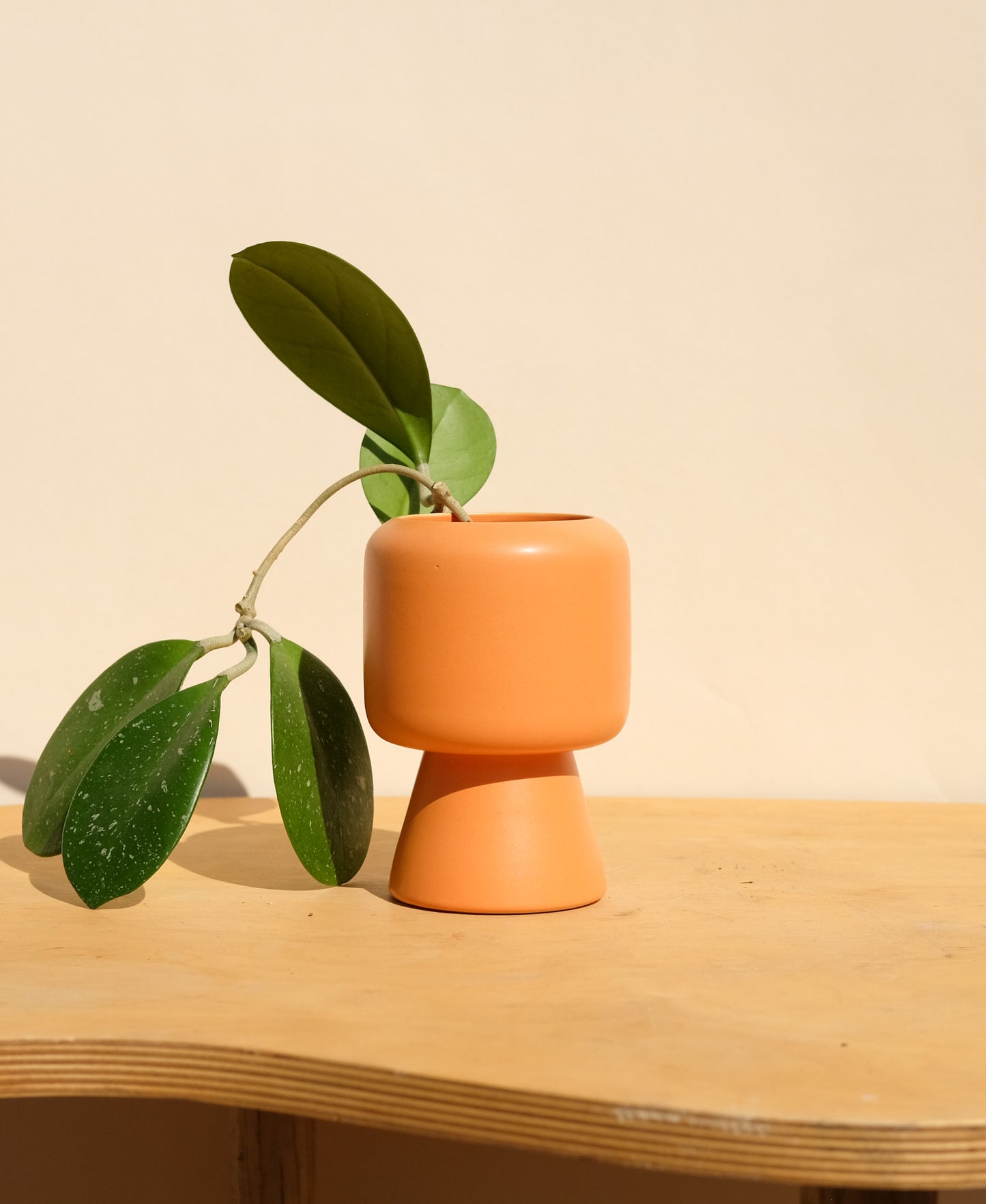 Orange Small Planter