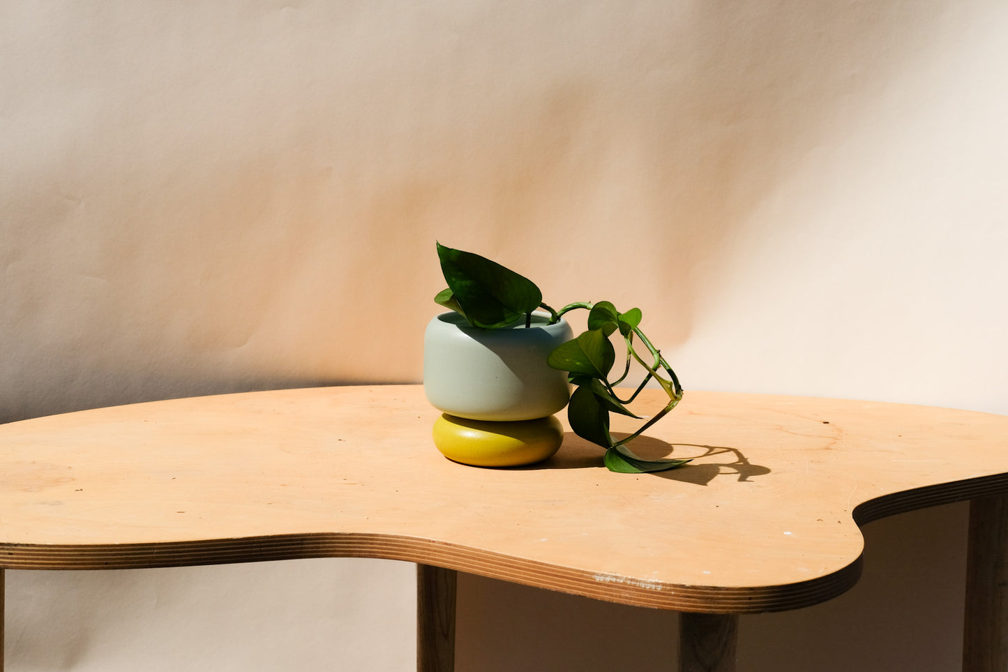 Small Planter Blue and Green