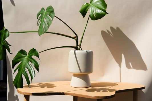 Large Planter Cream