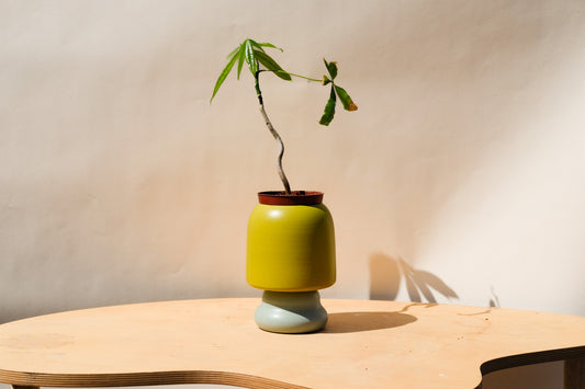 Medium Planter Green and Blue