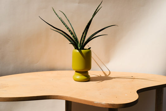 Small Planter Green 3