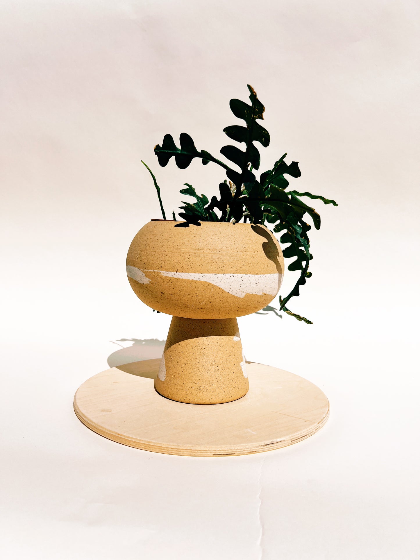 Large Orbital Pedestal Planter Desert Splash